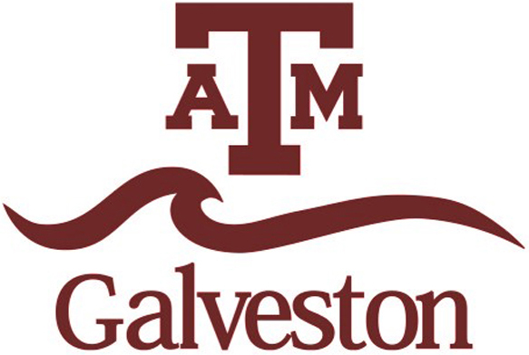 Texas A&M University Galveston